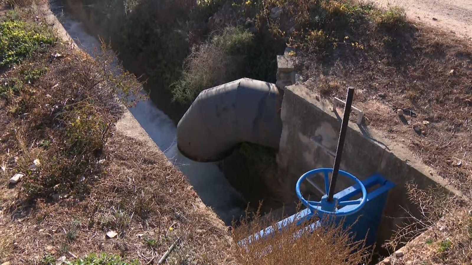 Aportació extraordinària d'aigua a l'Albufera des de la Séquia Reial del Xúquer