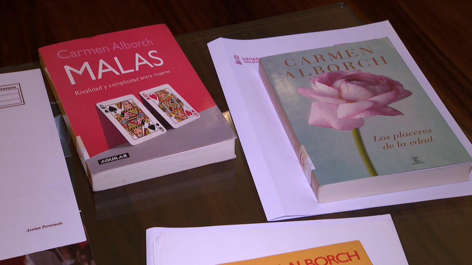 Fons documental de Carmen Alborch