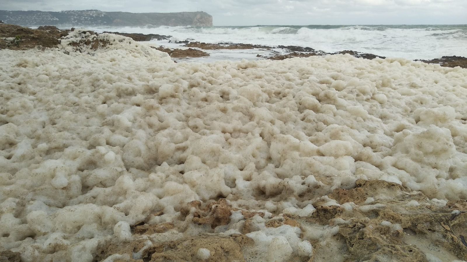 Imatge de la bromera que ha cobert algunes cales de Xàbia