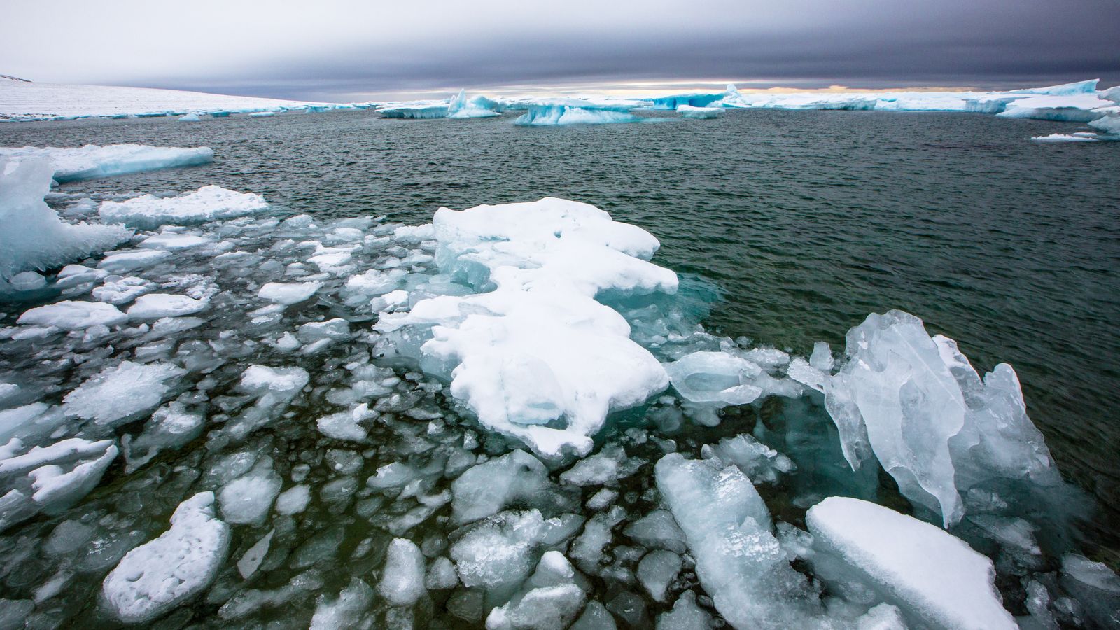 Icebergs surant en l'Àrtic
