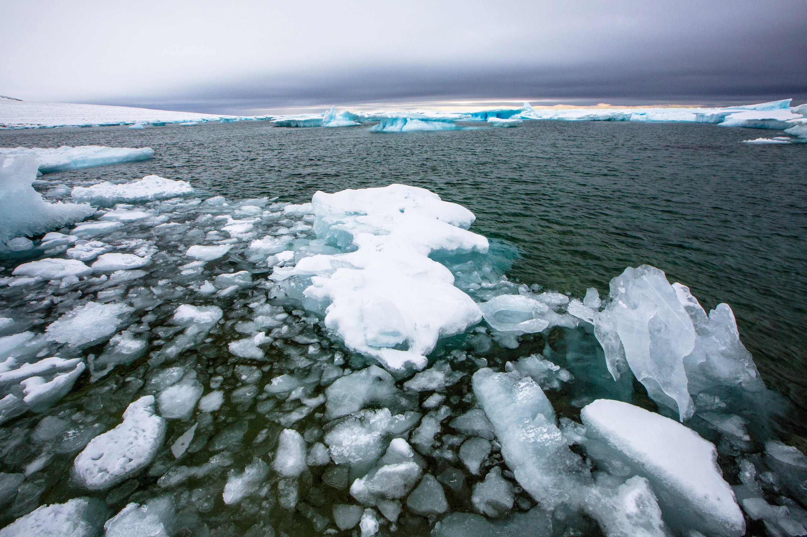 Icebergs surant a l'Àrtic Icebergs surant en l'Àrtic