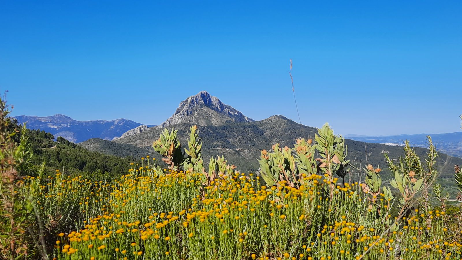 6EL BENICADELL I LA MARIOLA, , FRANCESC PIERA
