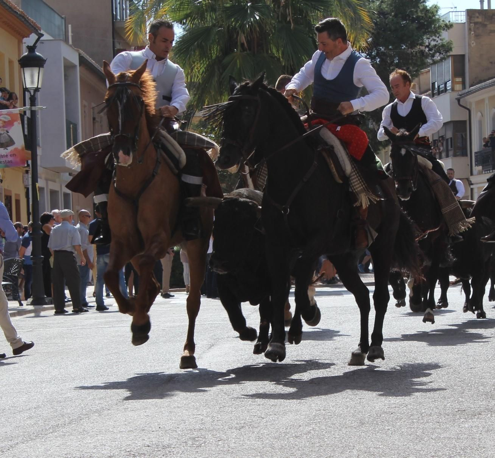Entrada Bous i Cavalls de Cheste 