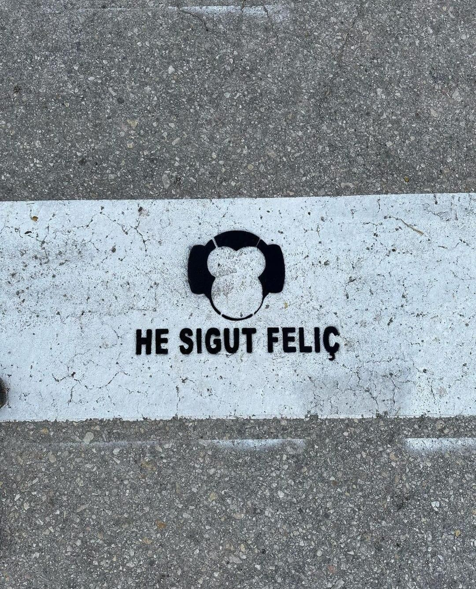 El missatge que va deixar Zoo pocs dies abans d'acabar l'any.