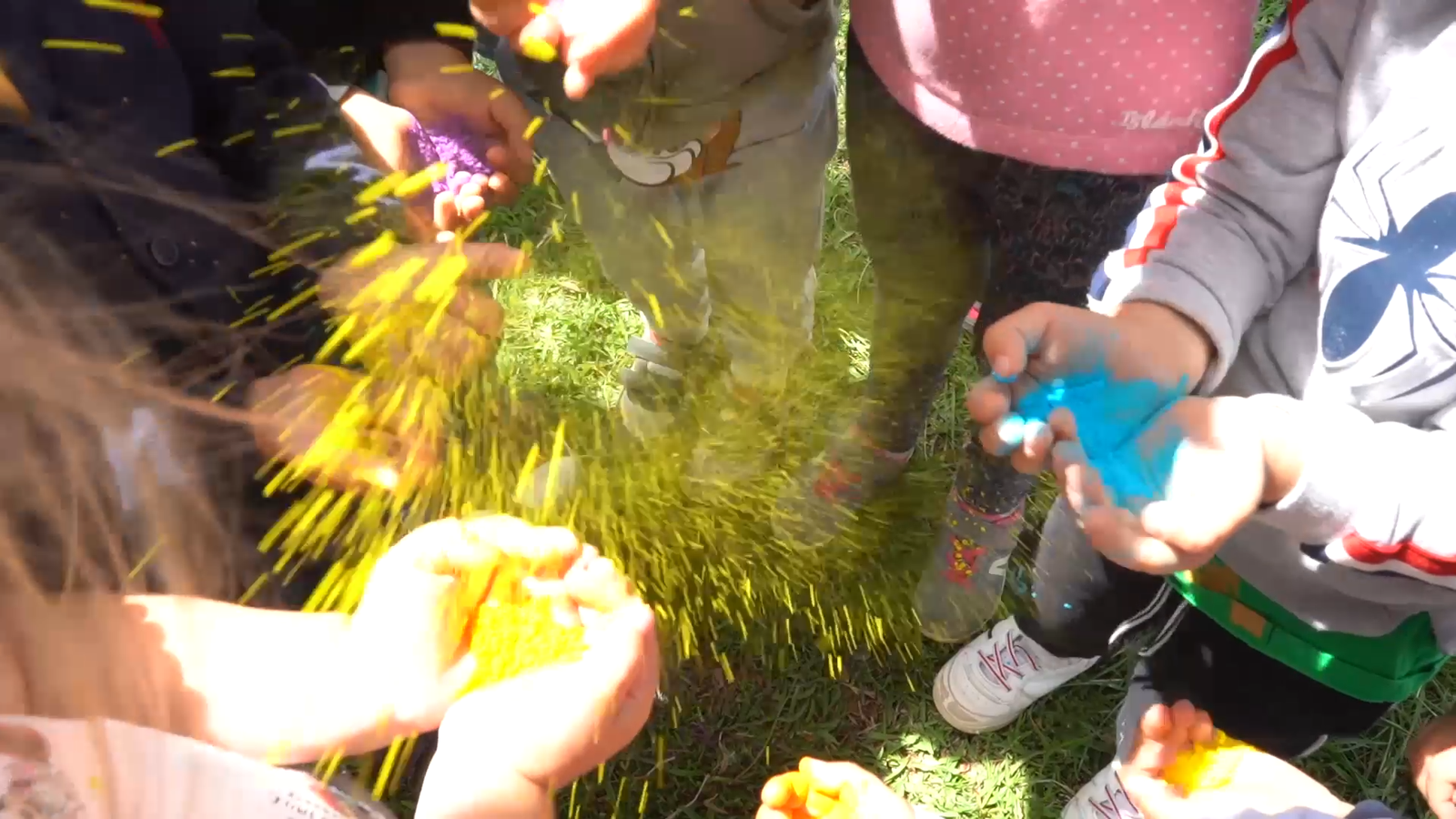 ORELLES DE PAPALLONA