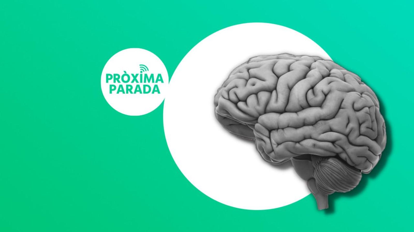 08.05.2023 | El psicòleg