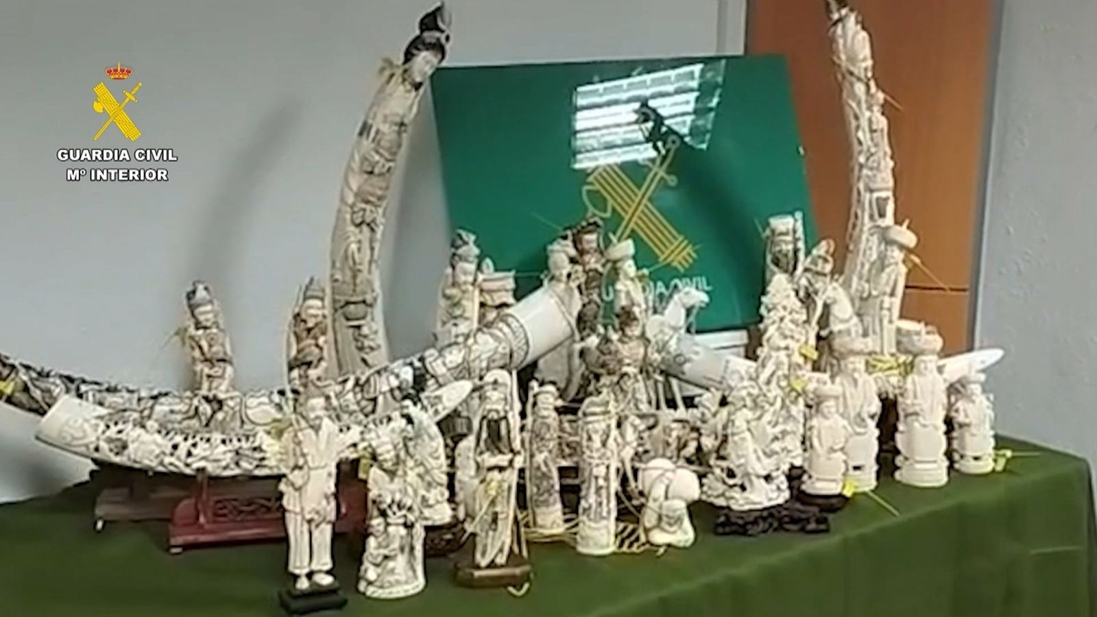 Peces d'ivori requisades