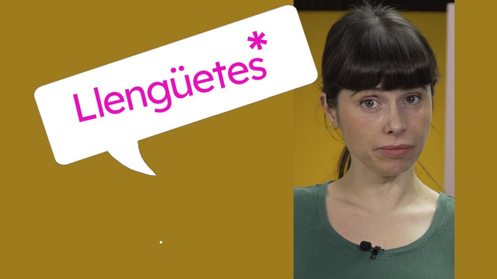 Els verbs pronominals