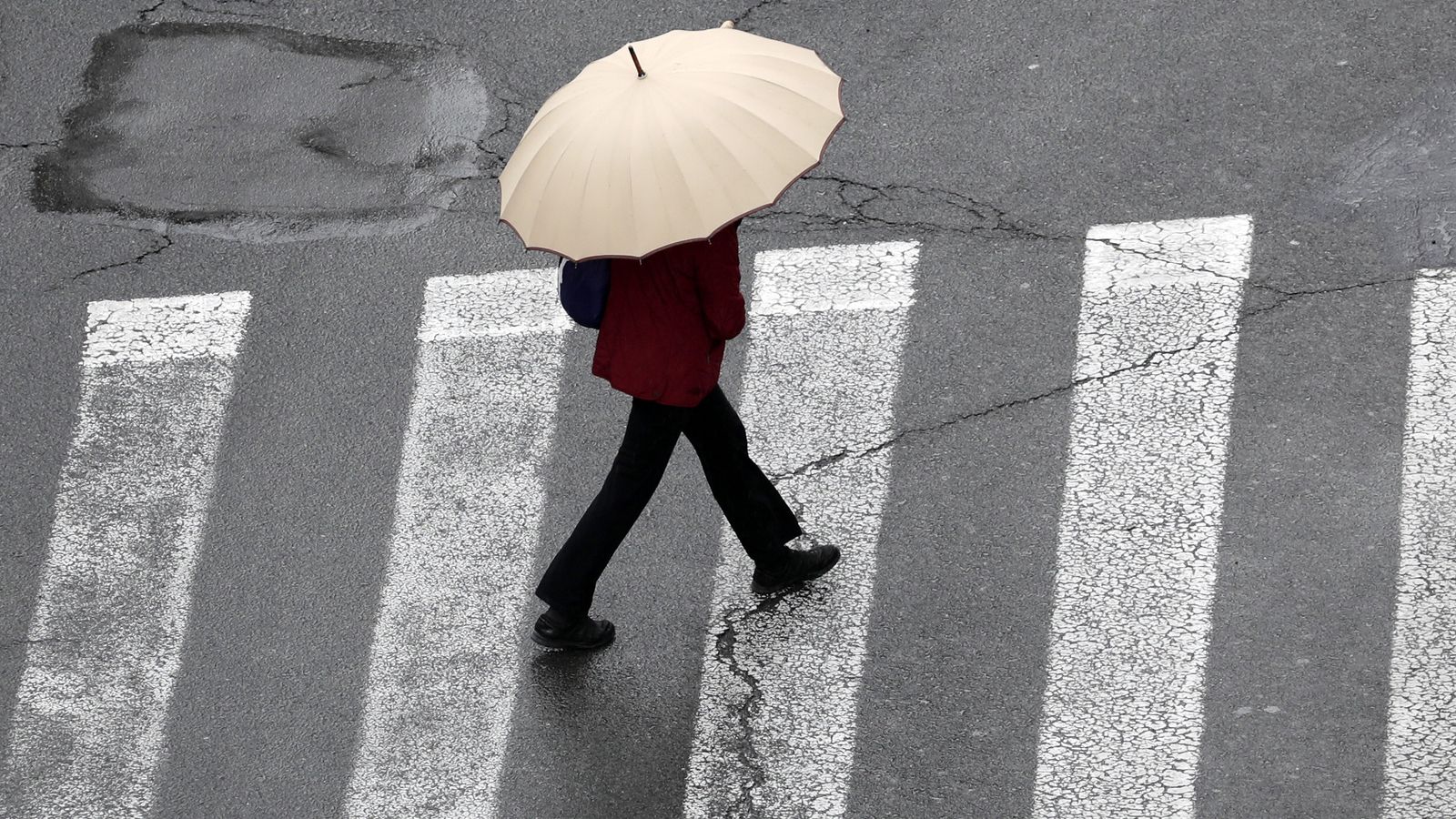 Un vianant creua un pas de zebra amb un paraigua per a protegir-se de la pluja dèbil