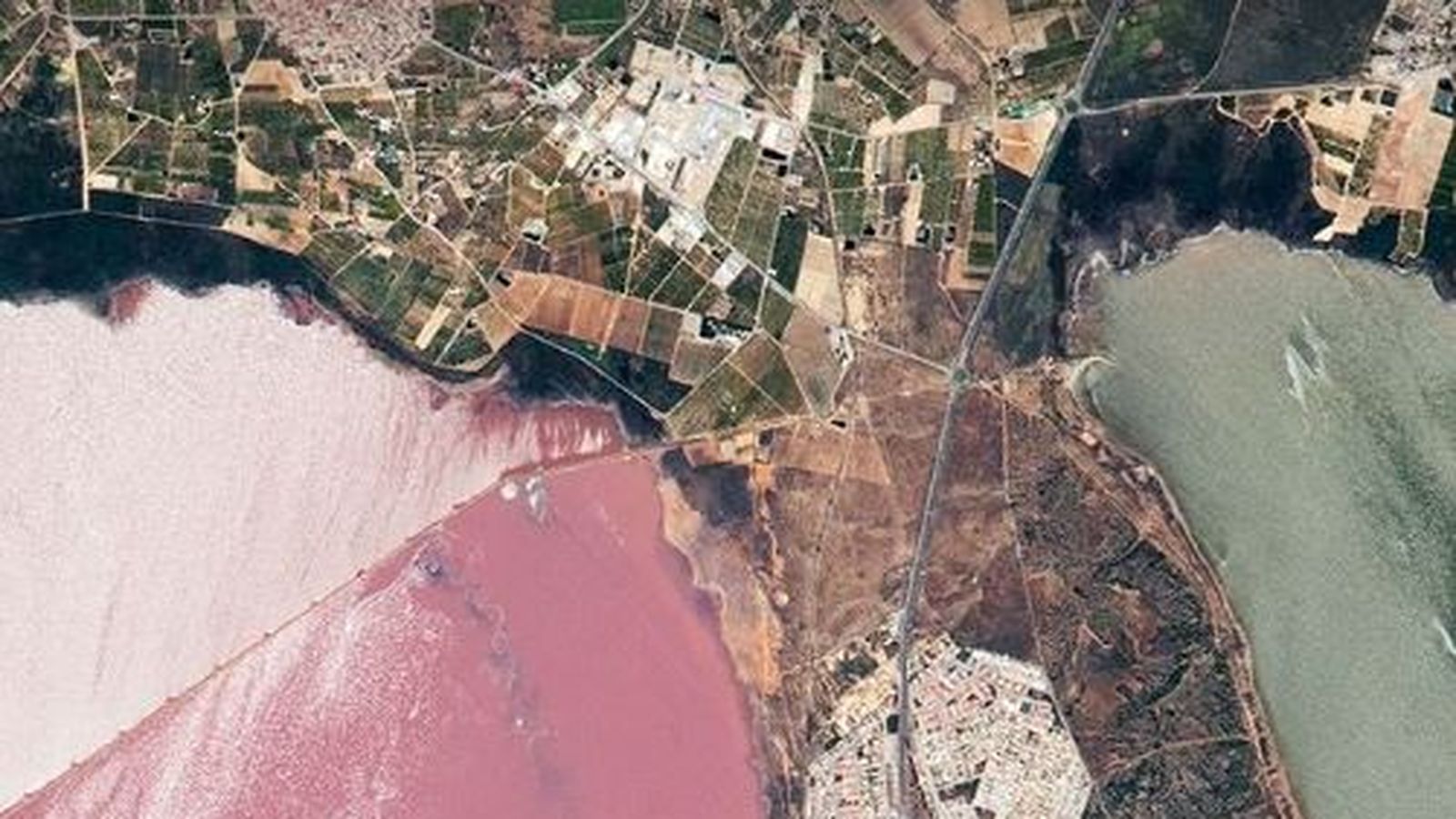Les llacunes rosa i verd de Torrevella (Baix Segura) capturada per l'Estació Espacial Internacional