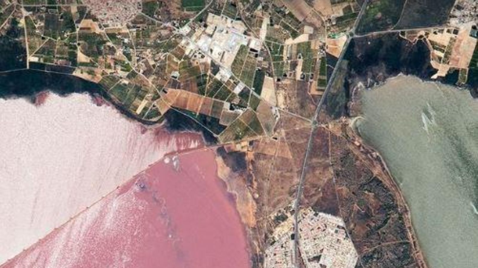 Les llacunes rosa i verd de Torrevella (Baix Segura) capturada per l'Estació Espacial Internacional