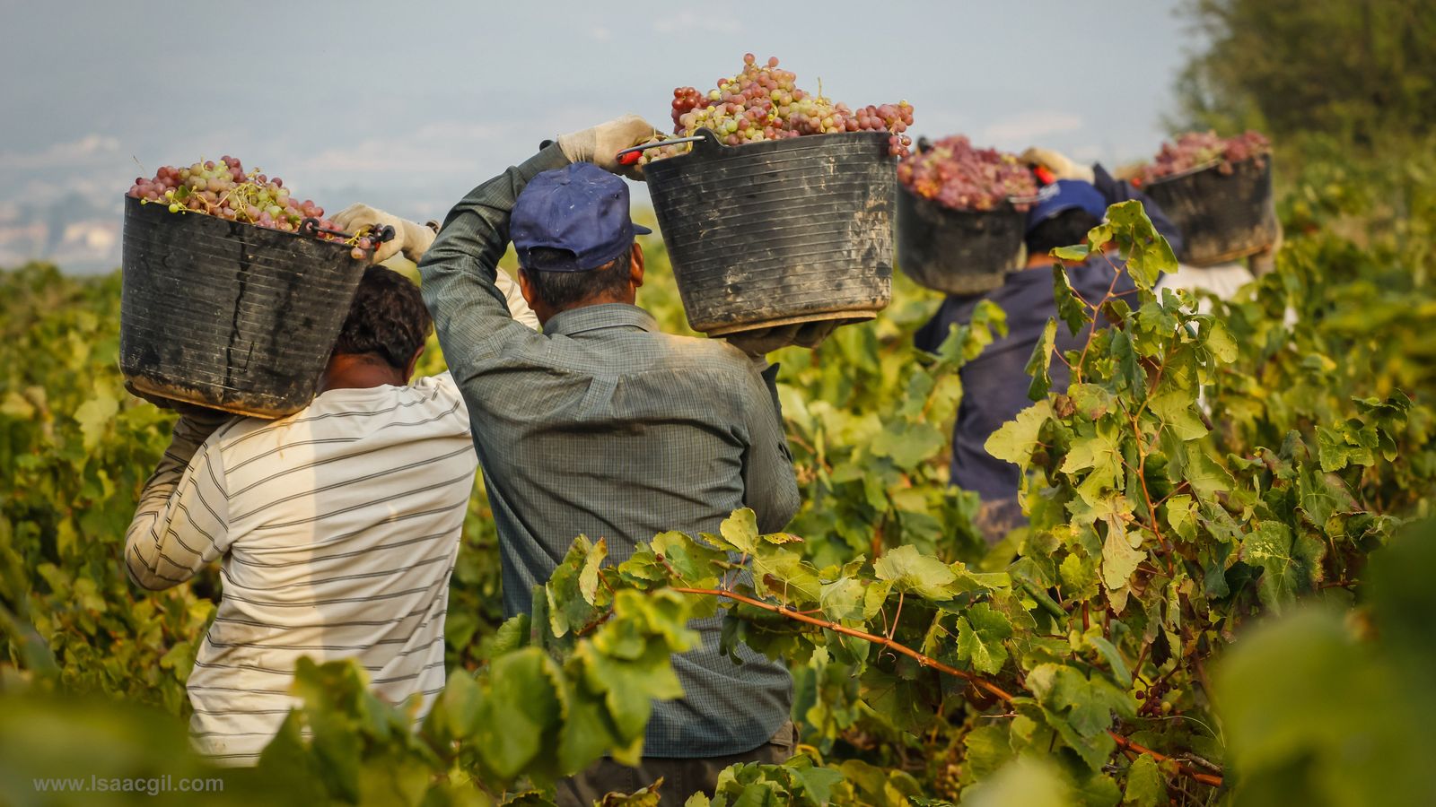 El nou reglament d'estrangeria que entra en vigor contempla algunes novetats en l'àmbit laboral