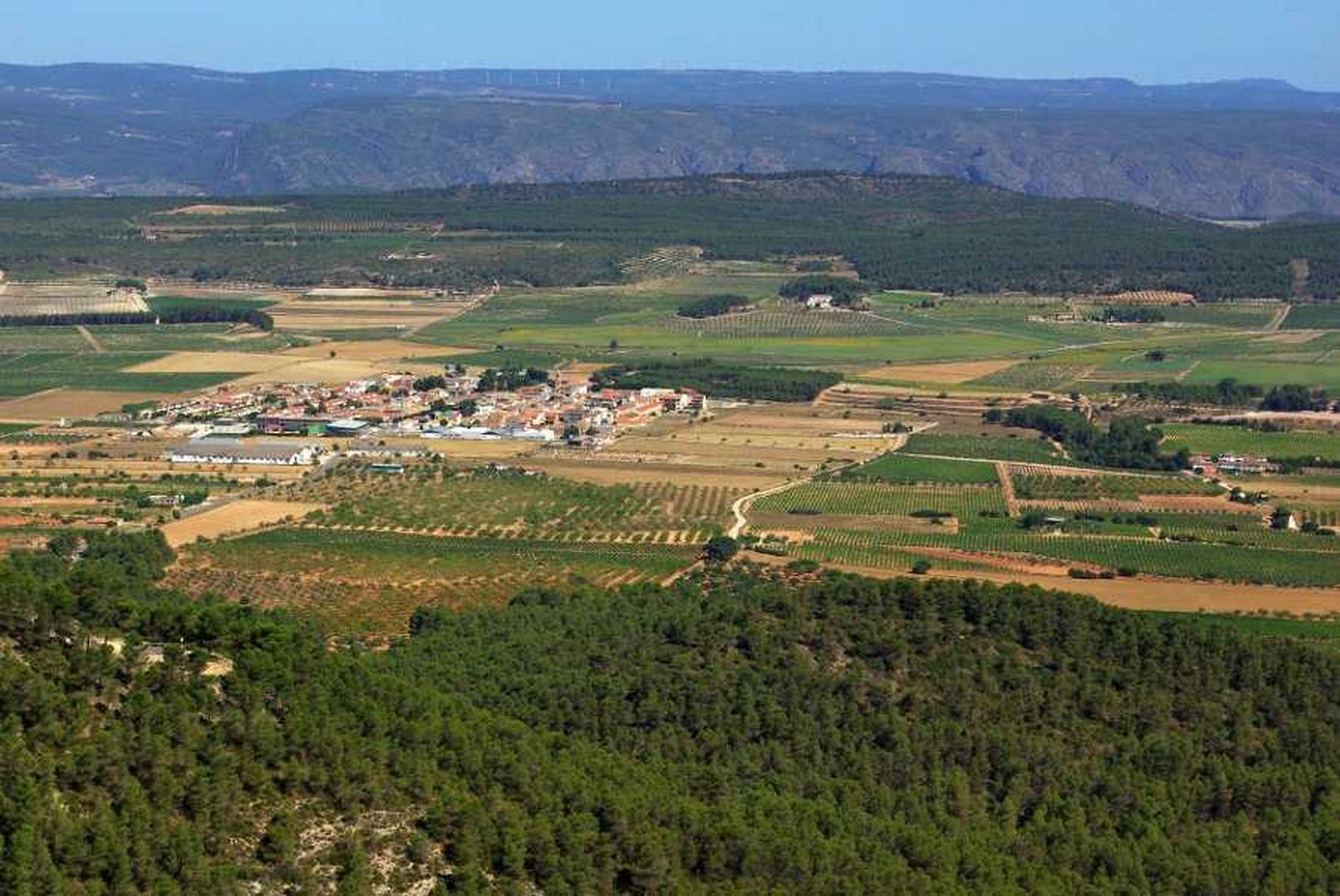 Imatge de terreny-mosaic a Fontanars dels Alforins