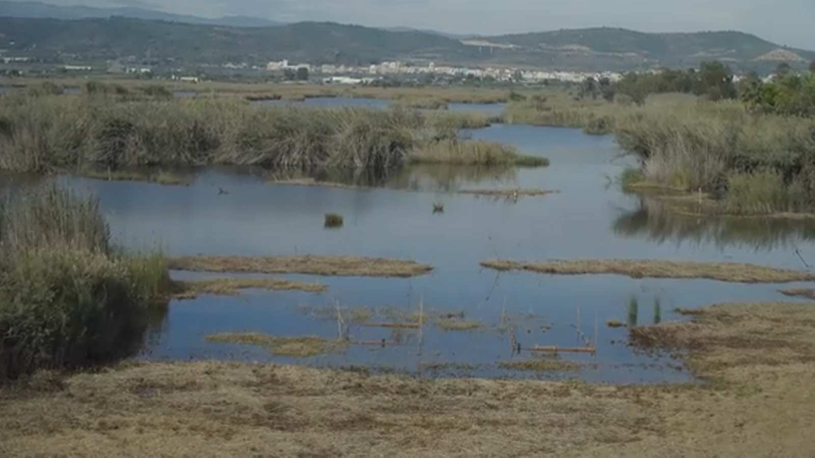 15.08.2023 | Terra Viva