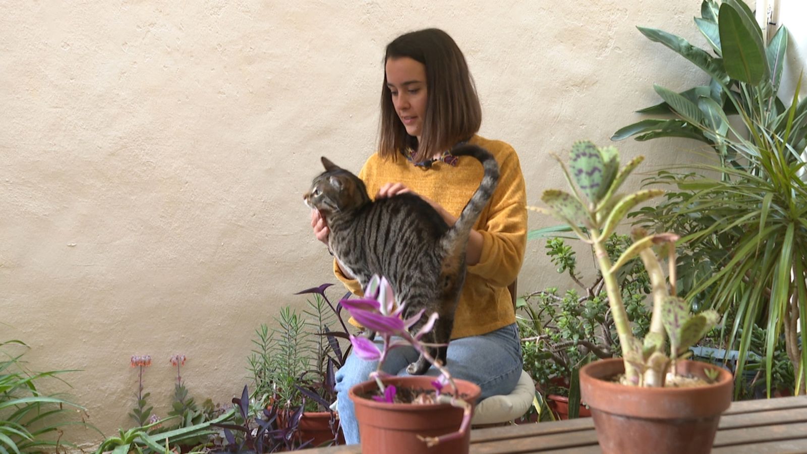 Paula Cerveró és usuària d'una plataforma de persones que cedeixen gratuïtament la casa a canvi de cuidar els animals