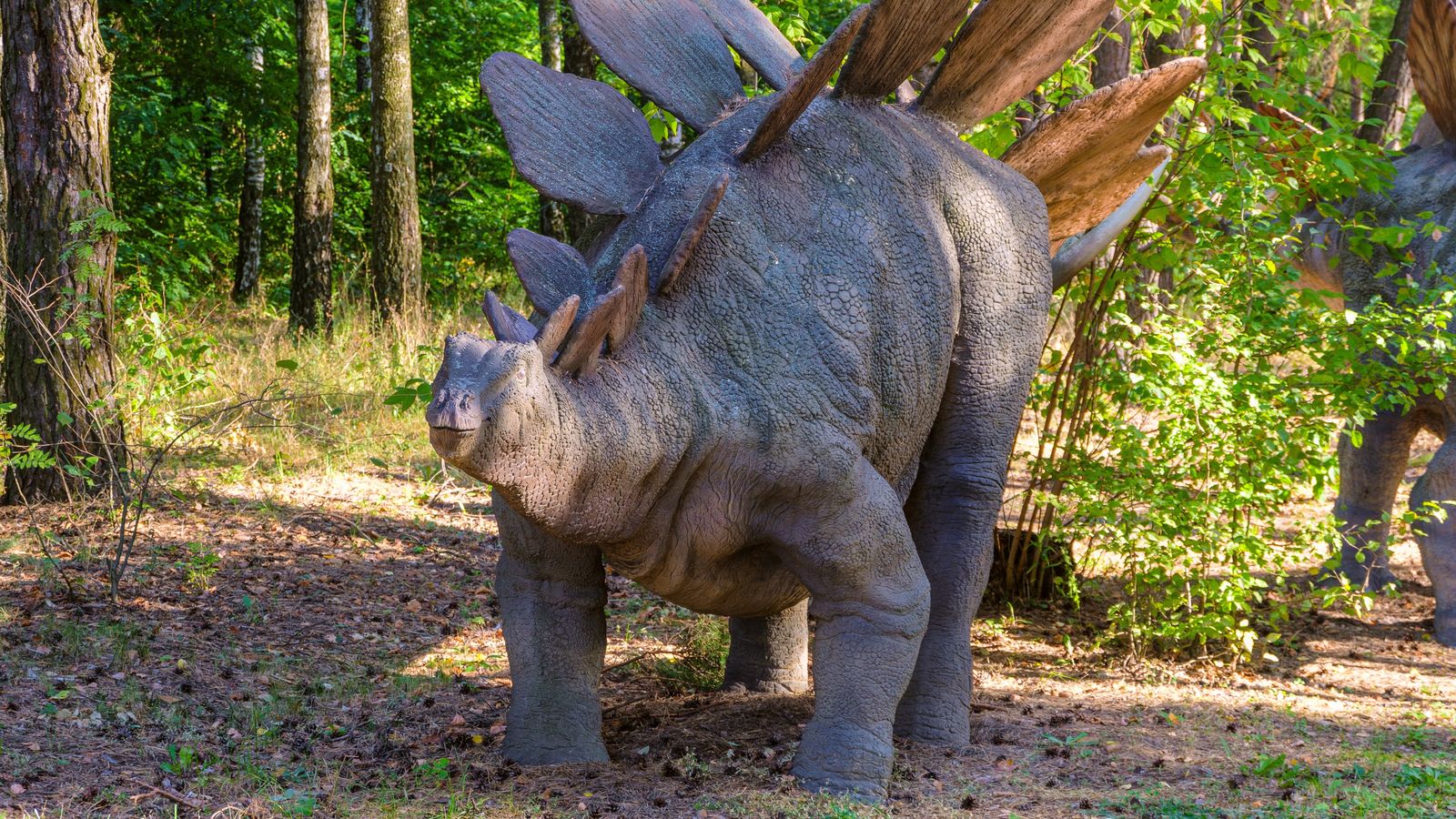 Recreació d'un estegosaure, en una imatge d'arxiu