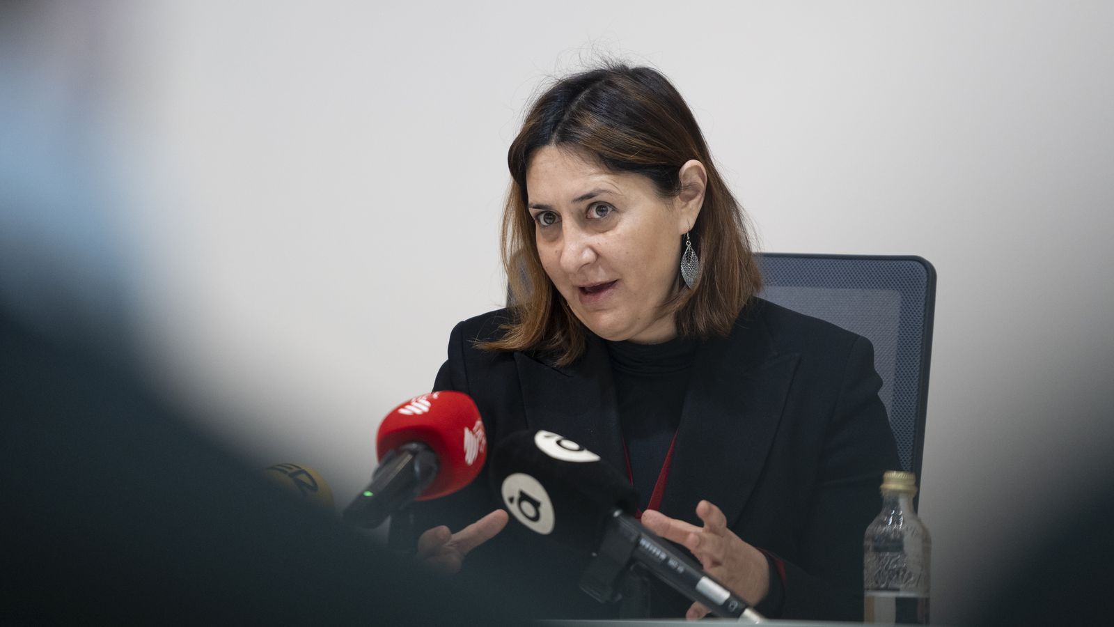 La consellera de Participació, Transparència, Cooperació i Qualitat Democràtica, Rosa Pérez Garijo, en la roda de premsa posterior al ple del Consell