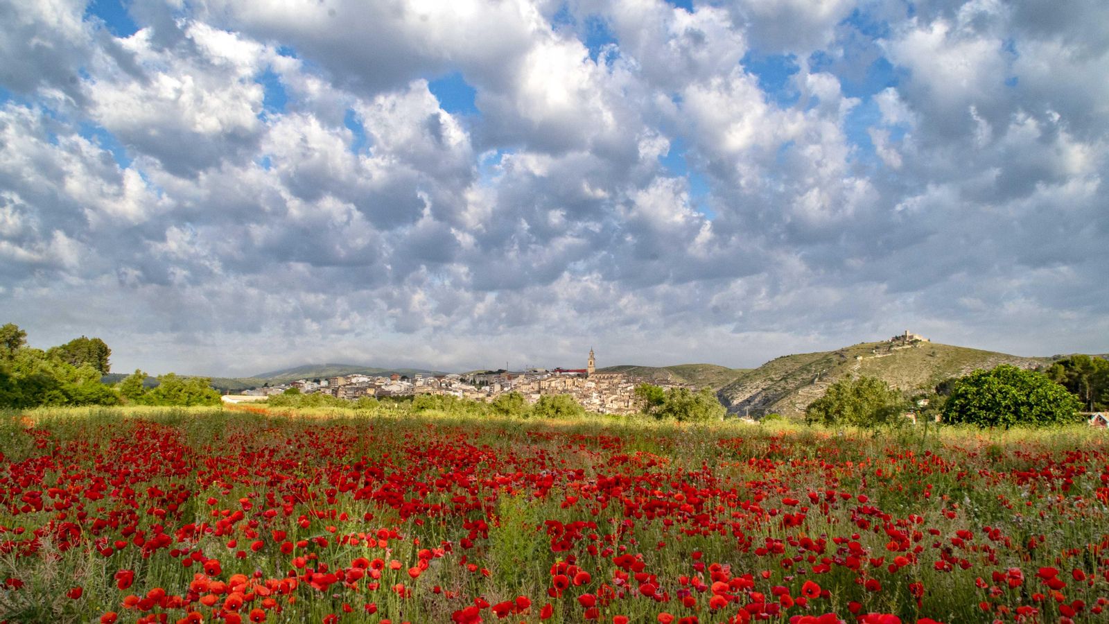 BOCAIRENT, LA VALL D'ALBAIDA