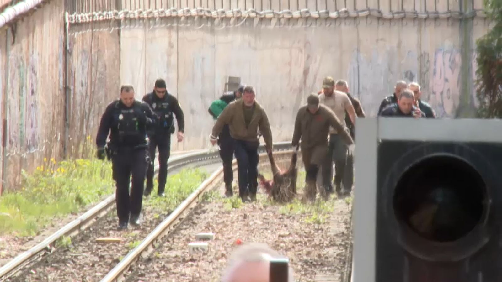 Els agents del Seprona amb l'animal, ja abatut