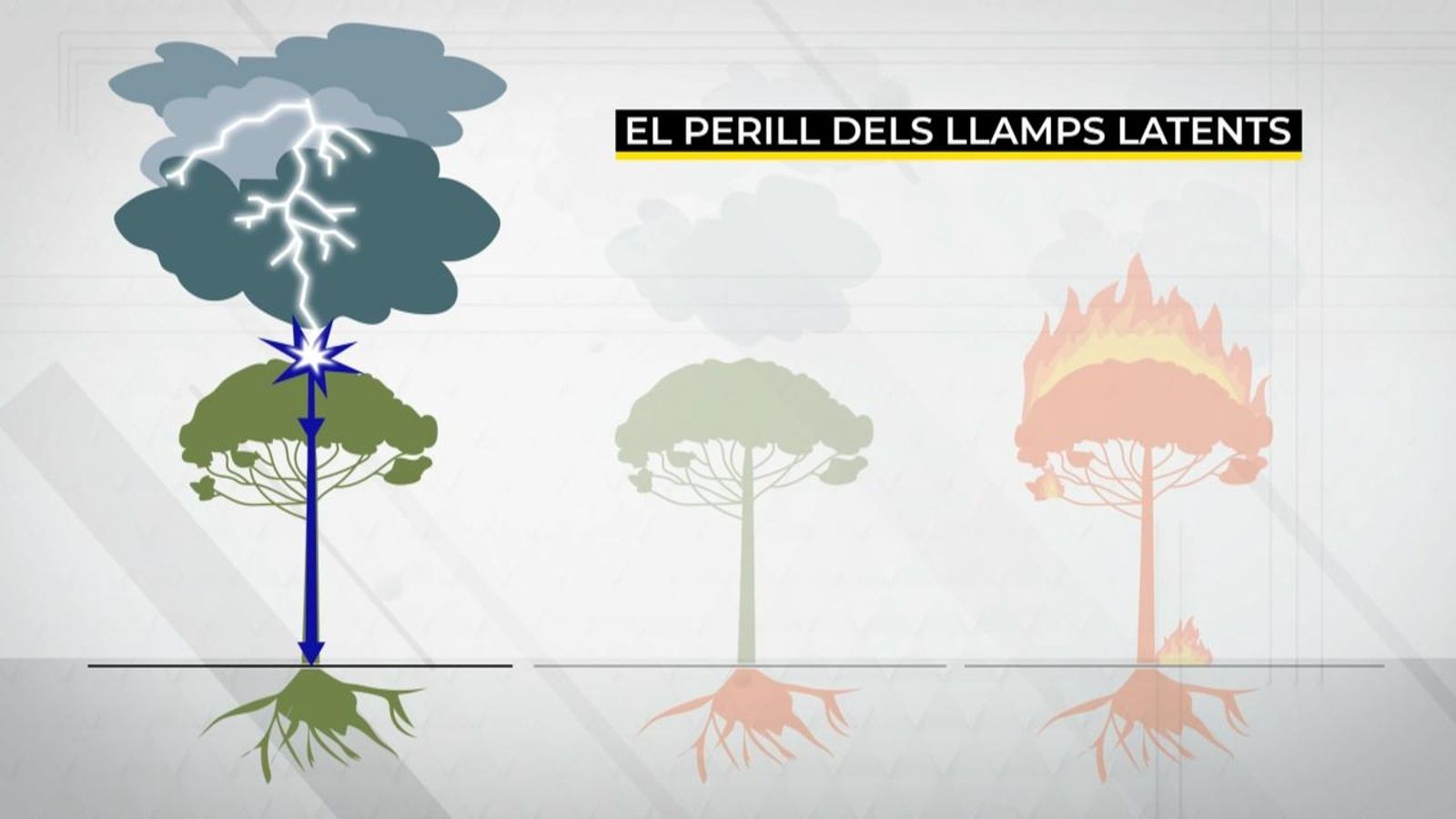Darrere de la causa de molts incendis estan els llamps
