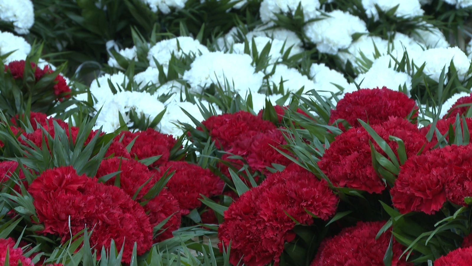 Flors que cobriran el mantell de la Verge