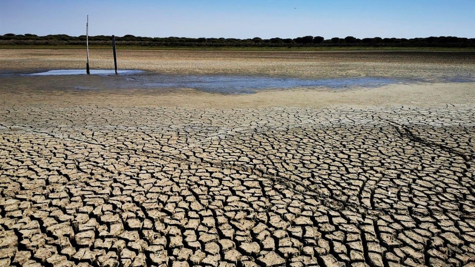 La llacuna de Santa Olalla, al parc de Doñana, pràcticament seca