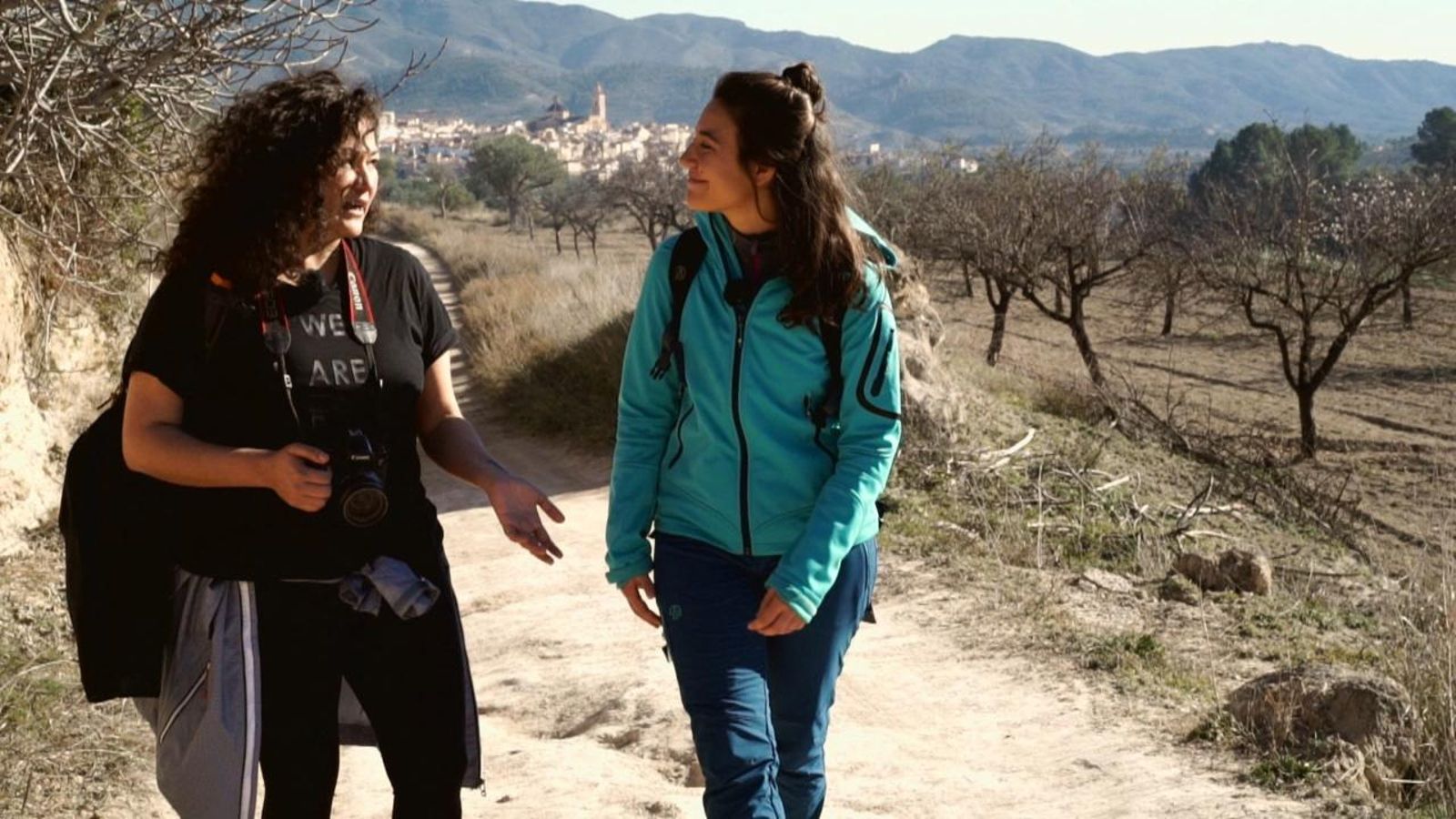 El femení de les professions