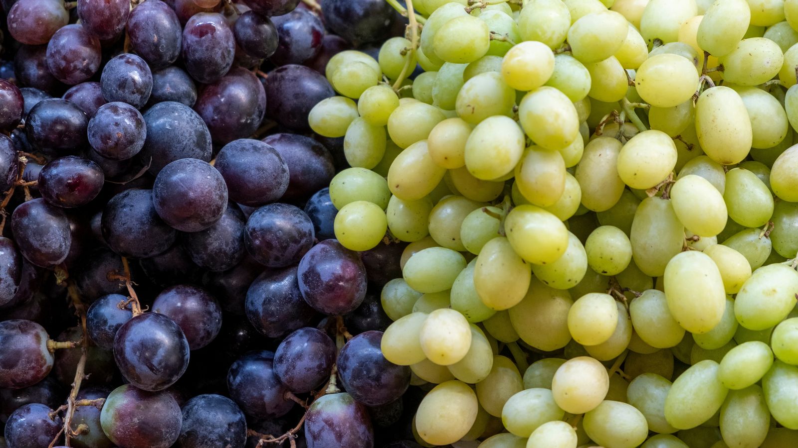 Entre novembre i desembre, el preu del raïm als supermercats ha pujat de mitjana un 32%