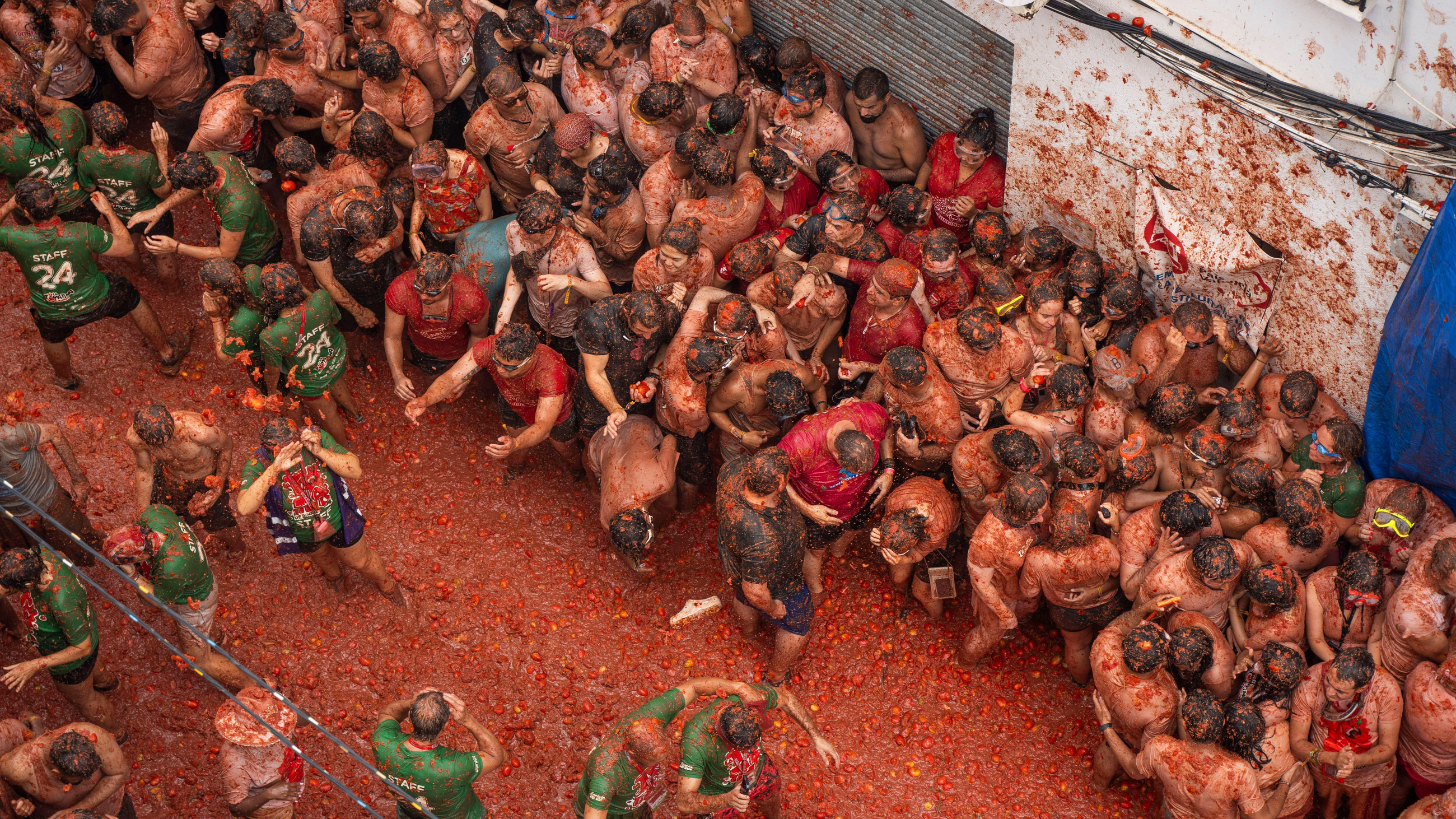 Milers de persones participen en esta guerra de tomaques de Buñol, única al món Milers de persones participen en esta guerra de tomaques de Buñol, única al món