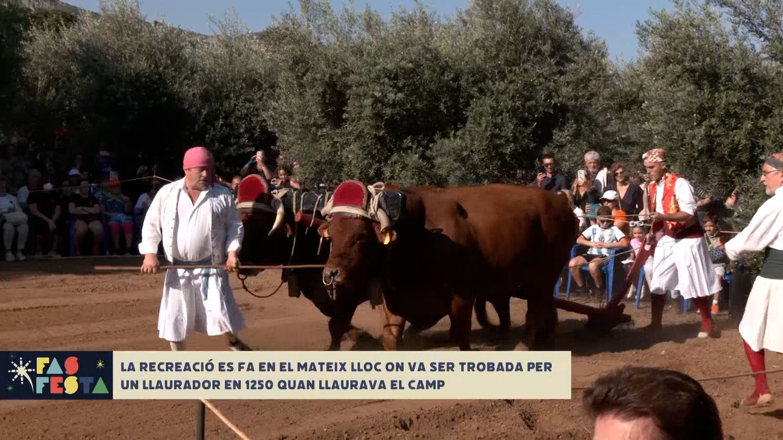 La Troballa de Carcaixent