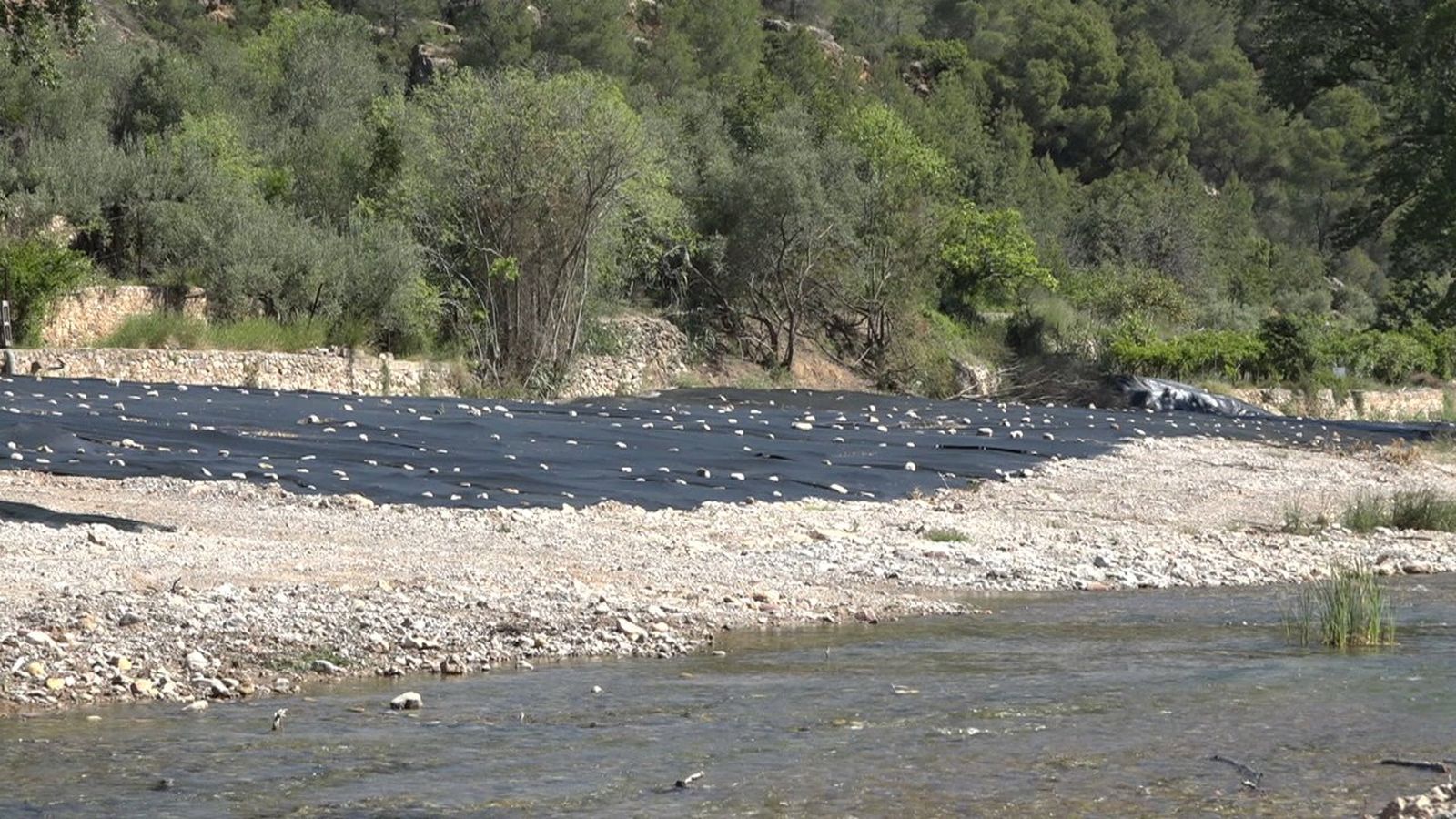 Estat d'un dels llits fluvials sobre els quals s'actuarà