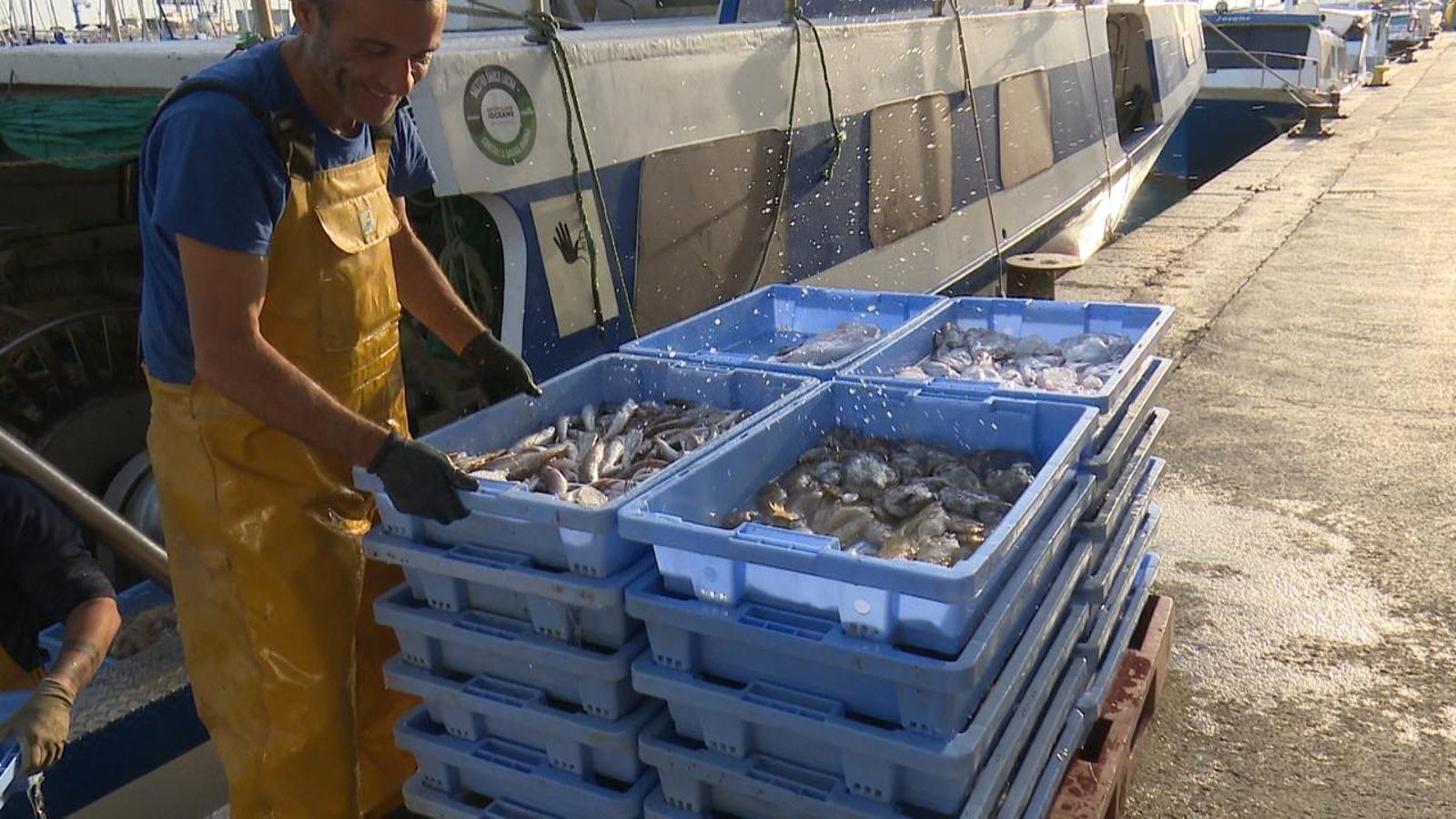 La pesca del llagostí, producte estrela a Vinaròs, en risc per la nova normativa europea