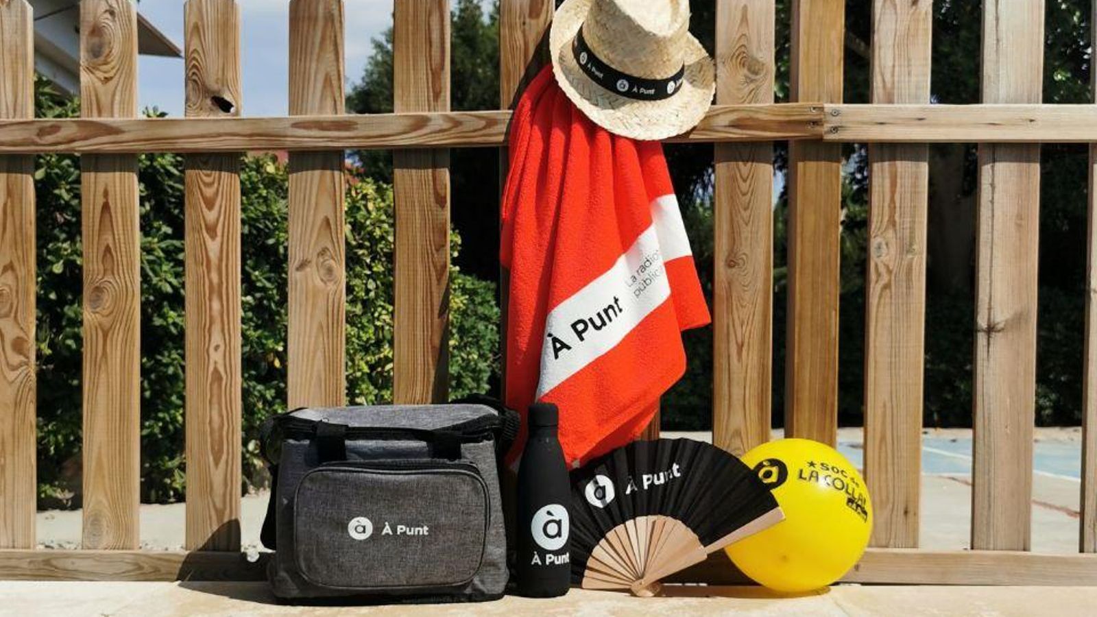 photo 5913408254598303235 y