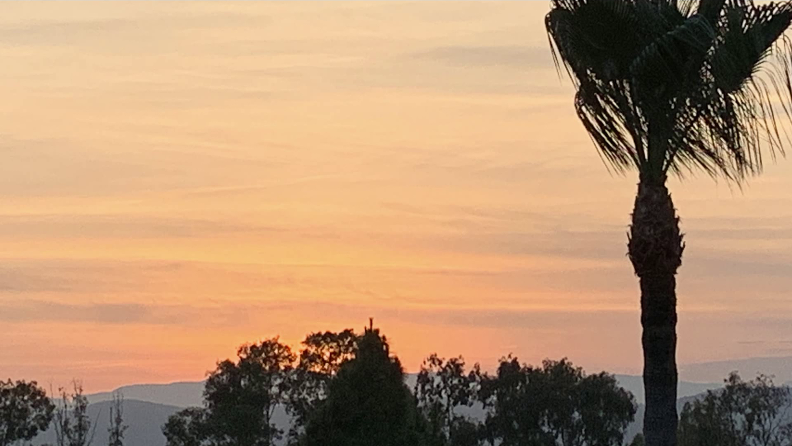 Torrenostra, Torreblanca