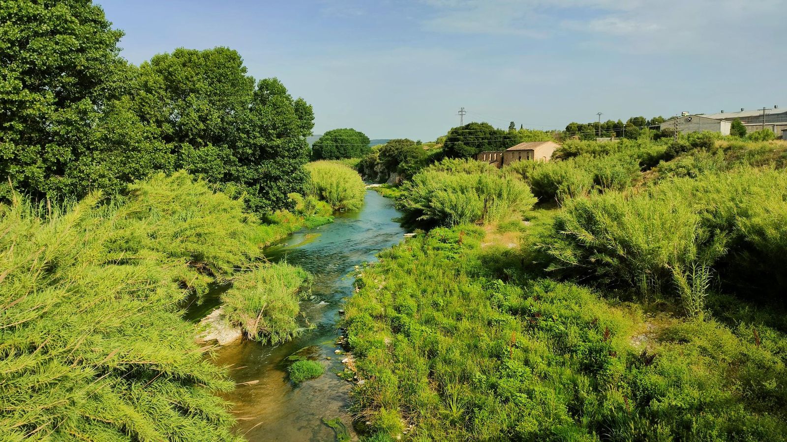 8.RIU CLARIANO, MONTAVERNER, ENRIQUE JAVIER FERRI MILLET