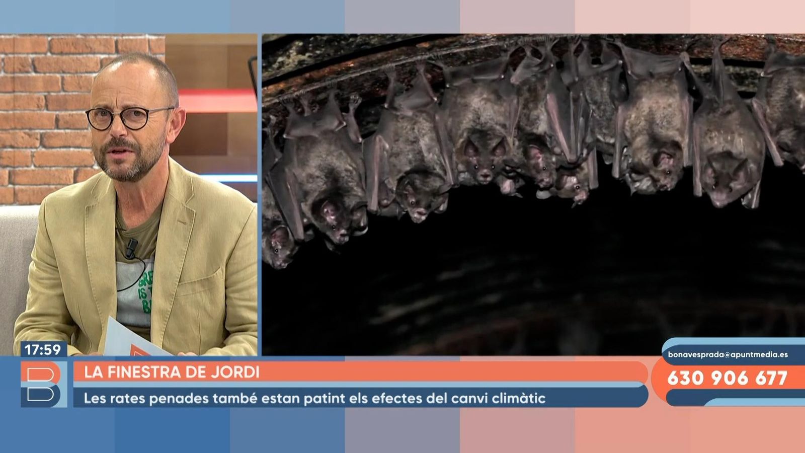 14.12.2022 | Per què ens fa por la rata penada?