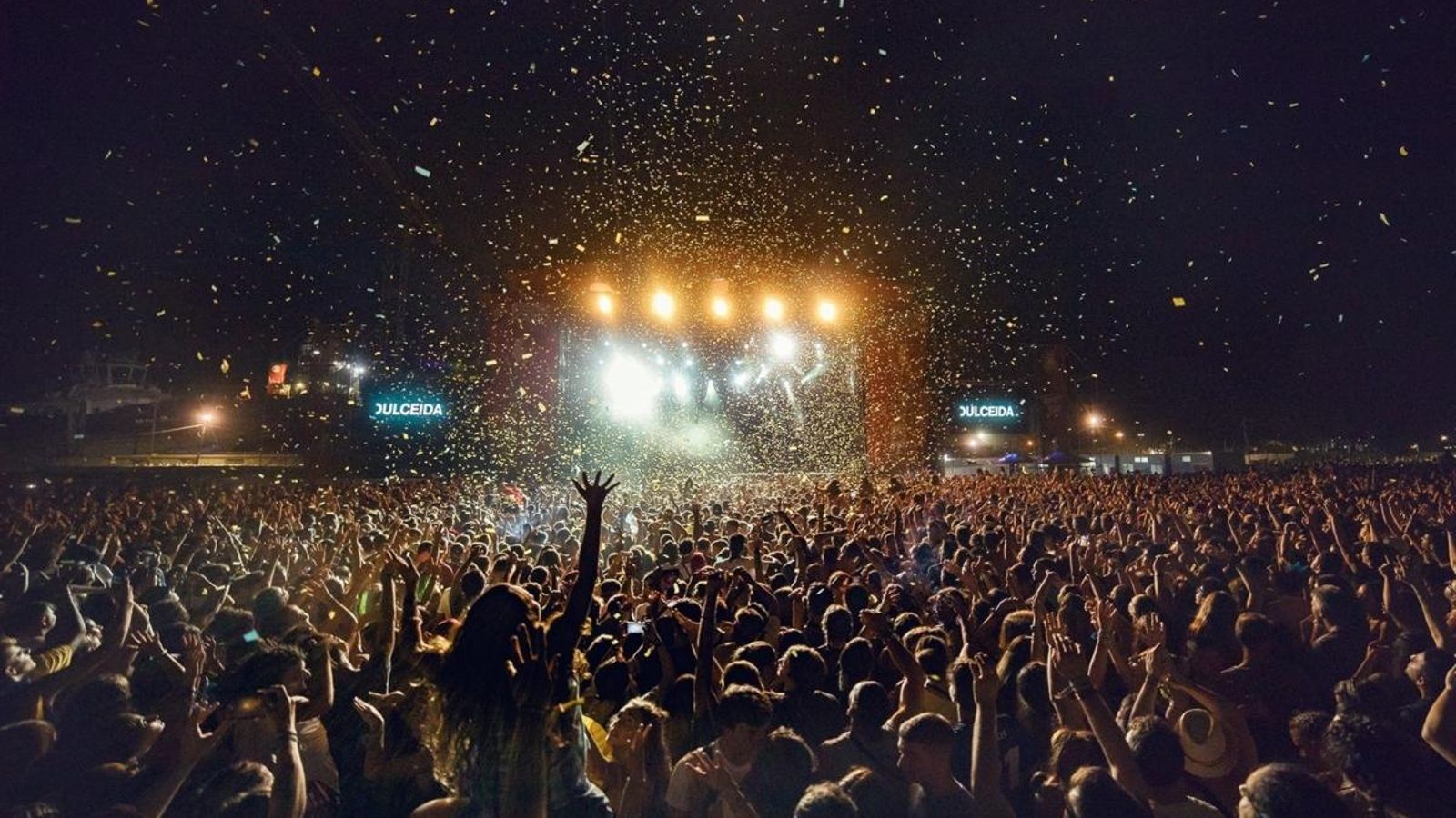 Assistents al festival, durant un concert