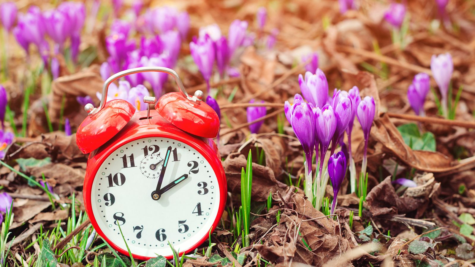 Aquesta matinada del diumenge arriba l'horari d'estiu