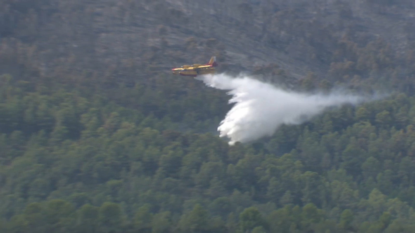 En la imatge, un hidroavió descarrega aigua per a combatre l'incendi de Tuéjar