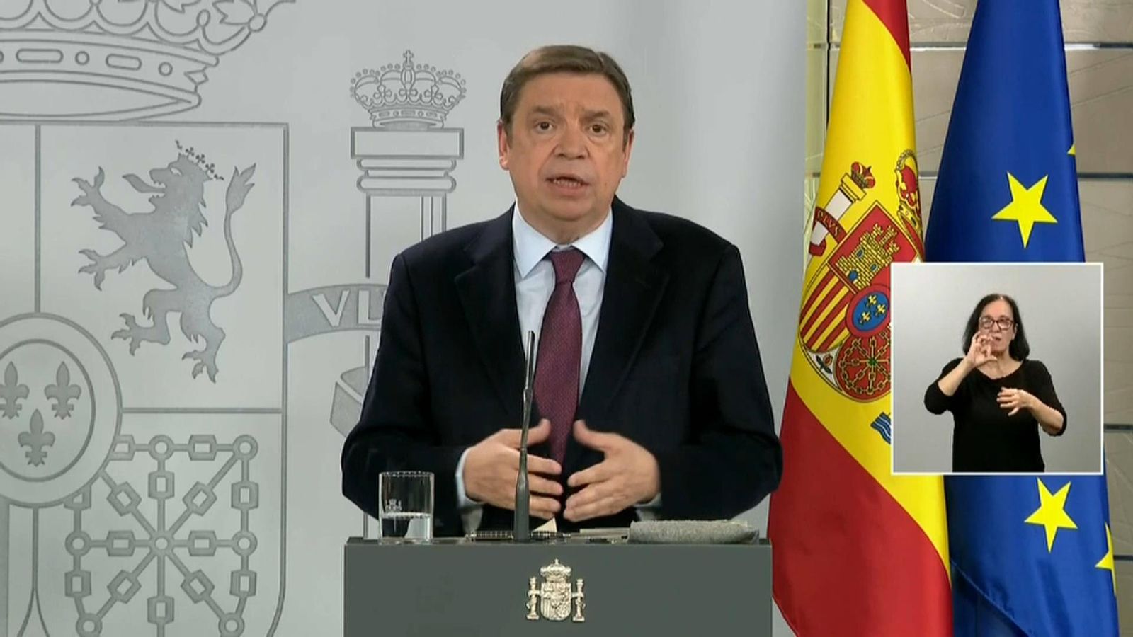 Luis Planas, durant la compareixença