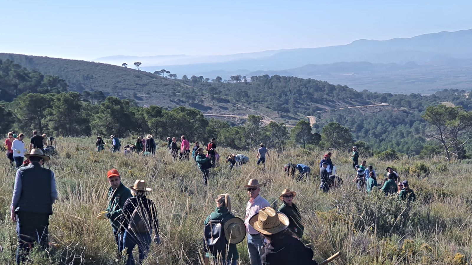 Membres de la falla planten espècies autòctones