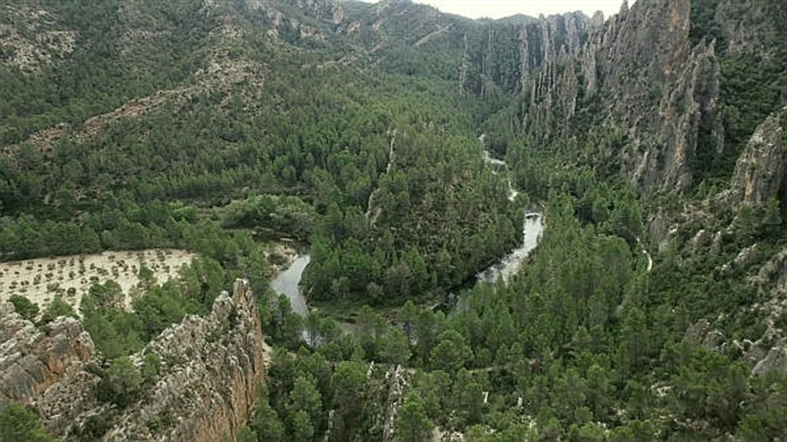 Reserva natural de les Gorges del Cabriol, a la comarca de la Plana d'Utiel-Requena