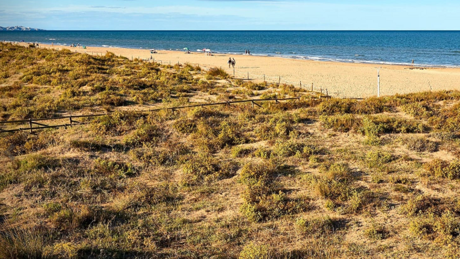 Platja de Gandia en una imatge d'arxiu Platja de Gandia en una imatge d'arxiu