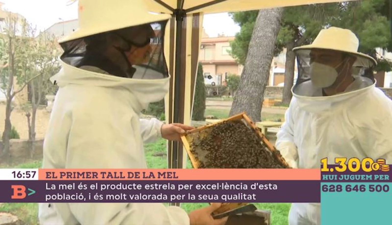 02.03.2021 | El primer tall de la mel