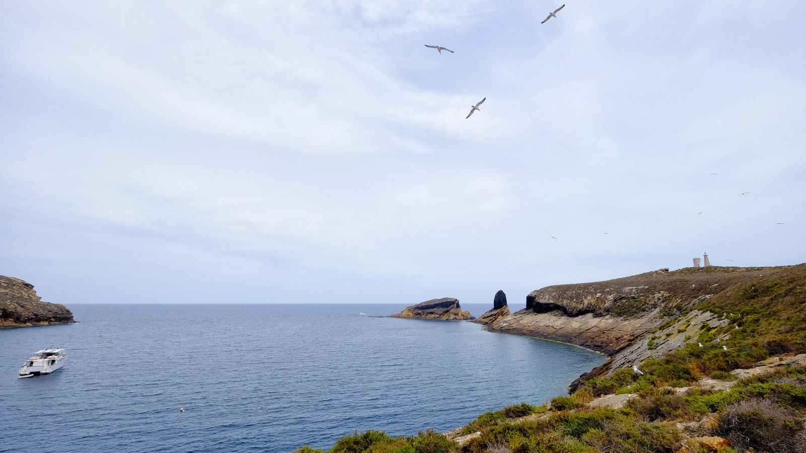 Imatge d'arxiu del pas d'aus migratòries per les illes Columbretes