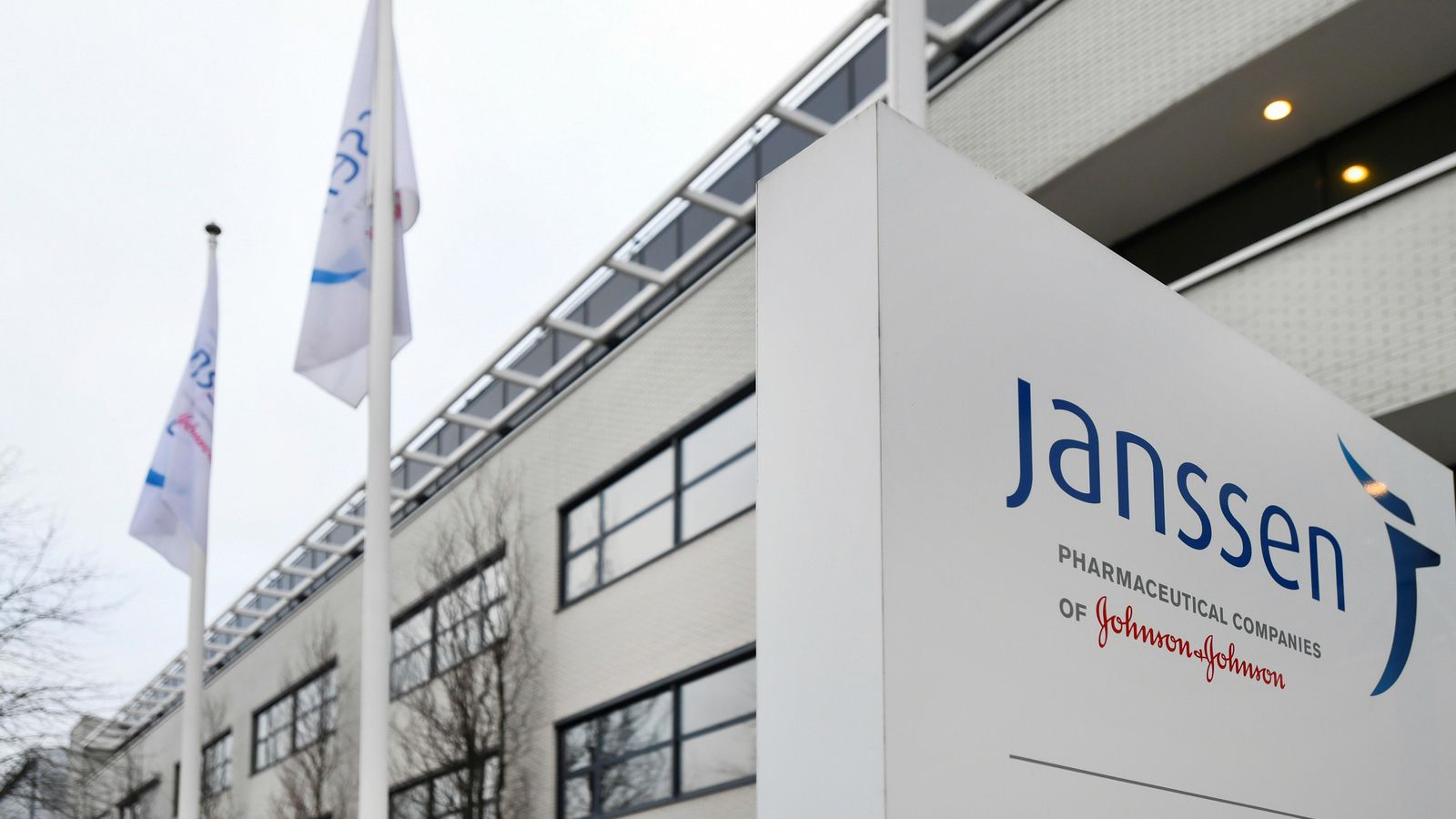 Seu de la farmacèutica Janssen als Països Baixos Seu de la farmacèutica Janssen als Països Baixos
