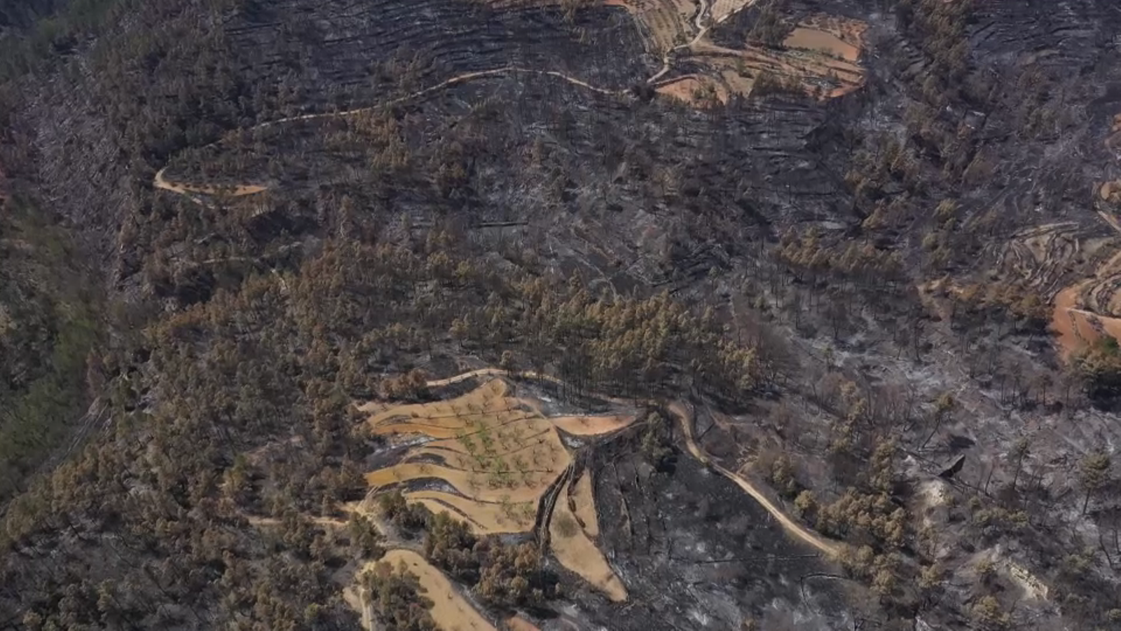 Zona cremada a l'incendi de Vilanova de Viver