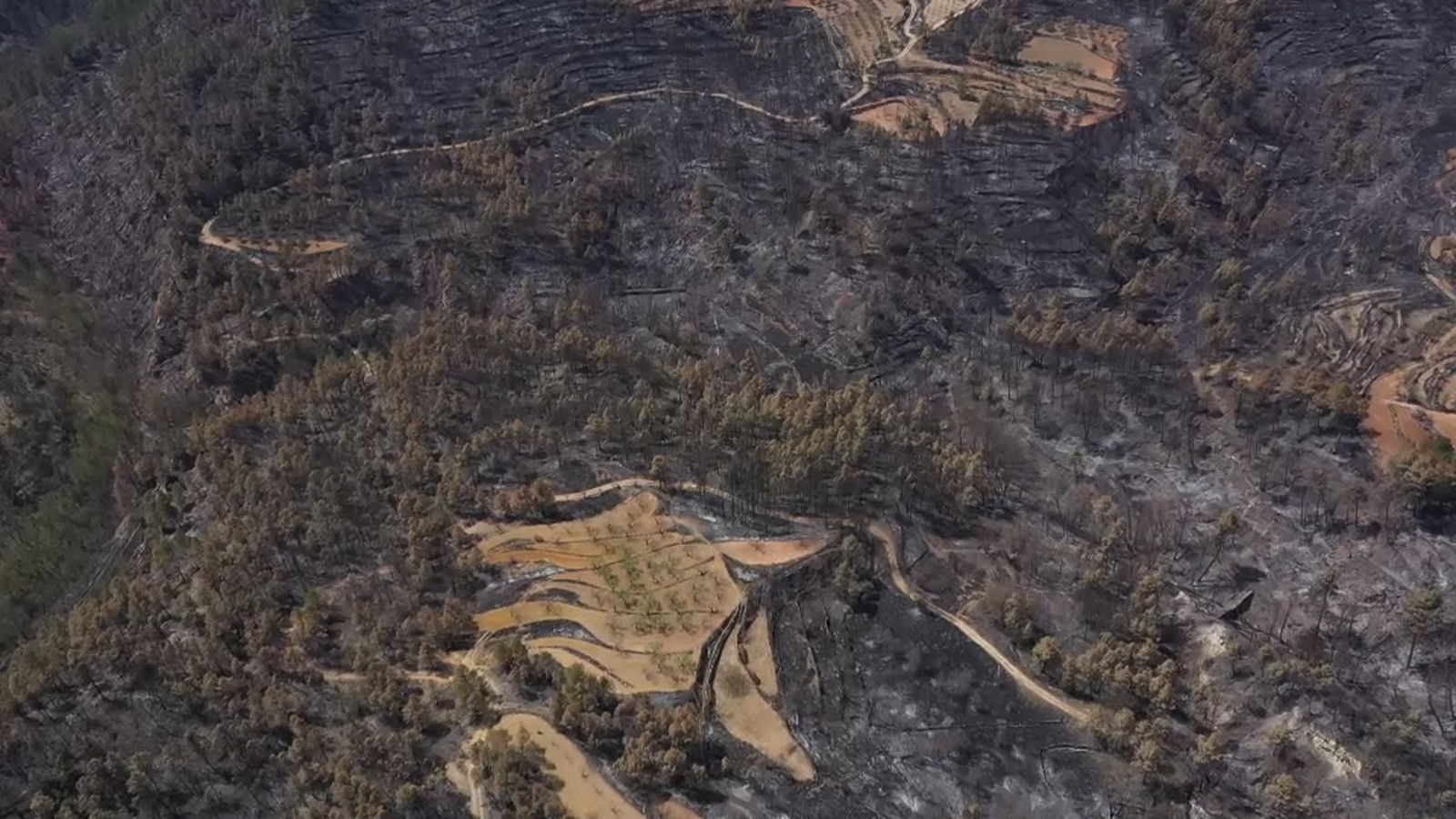 Zona cremada a l'incendi de Vilanova de Viver