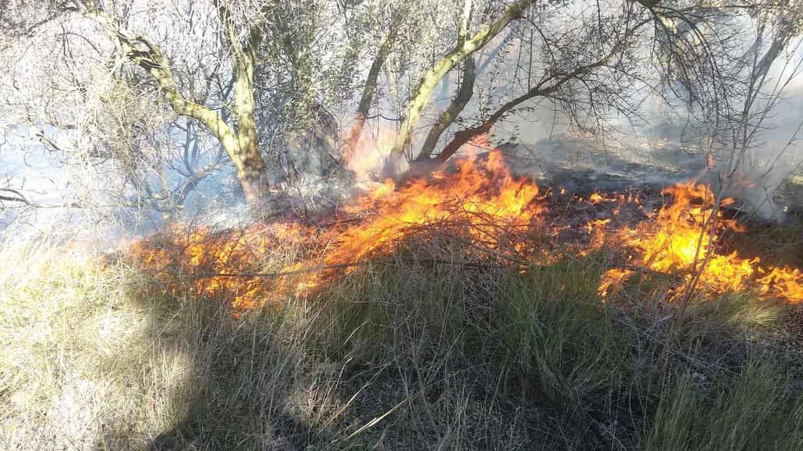 Imatges d'un incendi forestal a Xèrica, a l'Alt Palància