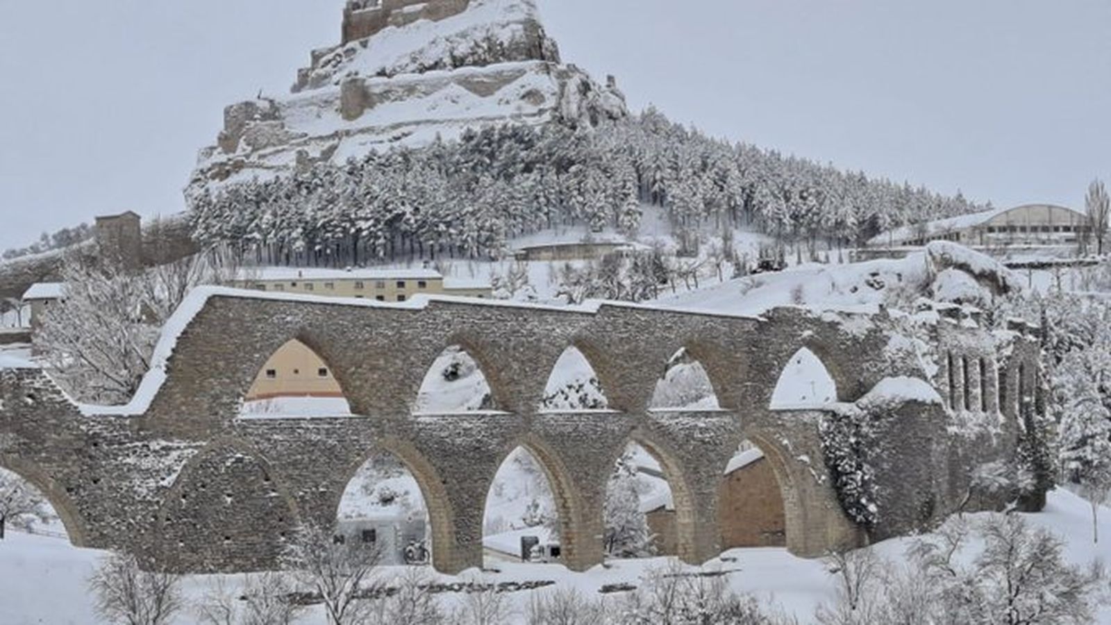 1. MORELLA, ELS PORTS, DELFINA MONFORT